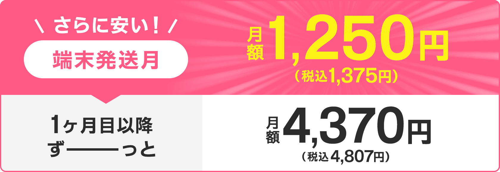 端末発送月は月額1,375円/月(税込) 1ヶ月目以降ずーっと4,807円/月(税込)
